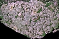 /album/galerie-photos/baigorry-p1-prehnite-6305-mod2-jpg1/